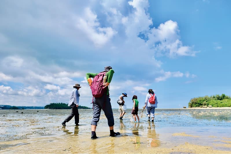 第18回 沖縄県内向けの自然観察プログラムについて［〜好奇心の向かう先へ〜キュリオス沖縄］